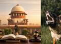 Supreme Court Upholds Stray Dog Removal Order, Tightens Enforcement in Public Spaces