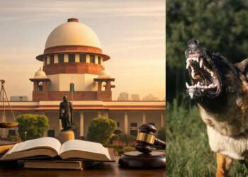 Supreme Court Upholds Stray Dog Removal Order, Tightens Enforcement in Public Spaces