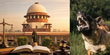 Supreme Court Upholds Stray Dog Removal Order, Tightens Enforcement in Public Spaces