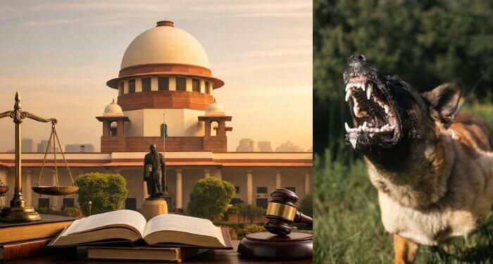 Supreme Court Upholds Stray Dog Removal Order, Tightens Enforcement in Public Spaces