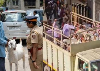 Mumbai BMC Reasserts Civic Norms, Withdraws Society-Level Qurbani Permission For Bakrid