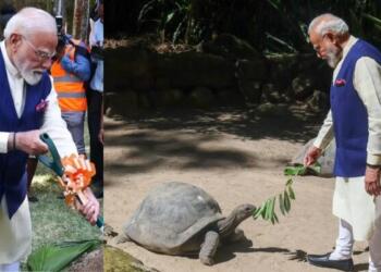 Jonathan isn’t just a 194-year-old tortoise. Here’s why PM Modi’s meeting carries diplomatic significance