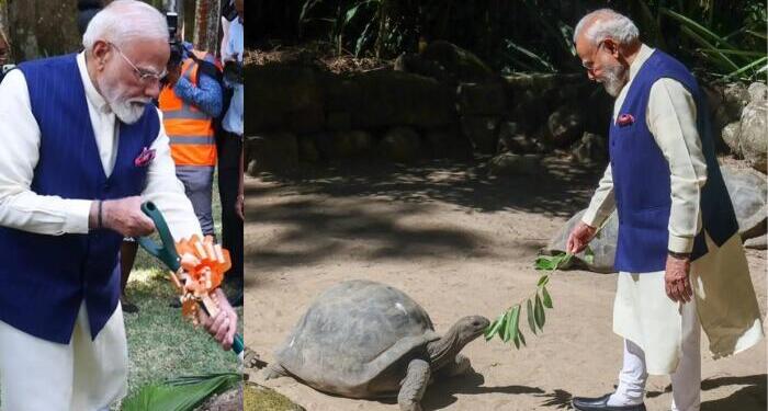 Jonathan isn’t just a 194-year-old tortoise. Here’s why PM Modi’s meeting carries diplomatic significance