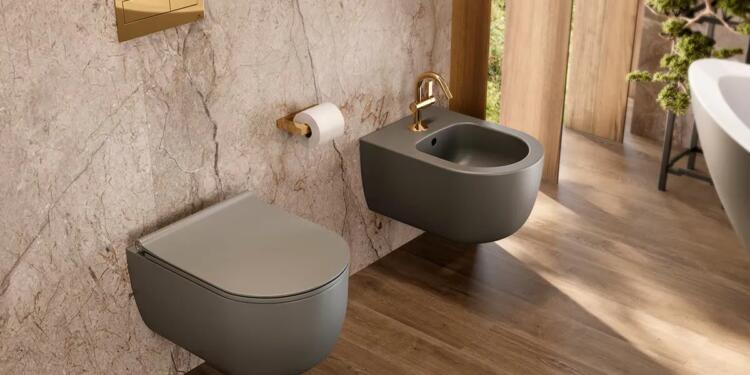Wall-Hung WC and Concealed Cisterns: The Future of Bathroom Design