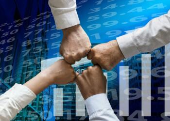Borrowing in the US and India: Their Economic Effects