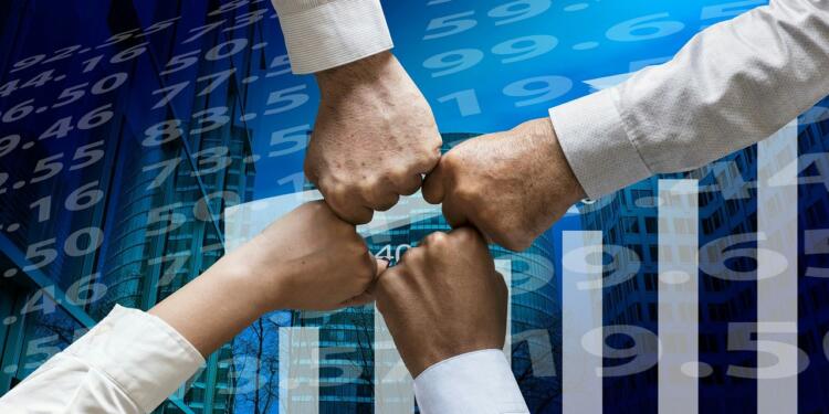 Borrowing in the US and India: Their Economic Effects