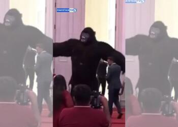 Giant Dancing Gorillas Are the New Life of the Party in Pakistan. Here’s how it started