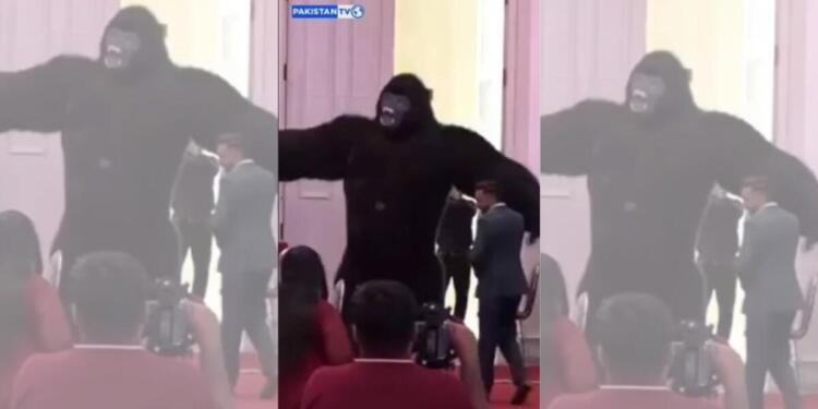 Giant Dancing Gorillas Are the New Life of the Party in Pakistan. Here’s how it started