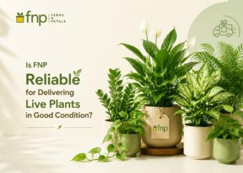 Is FNP Reliable for Delivering Live Plants in Good Condition?