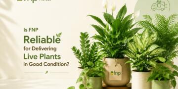 Is FNP Reliable for Delivering Live Plants in Good Condition?