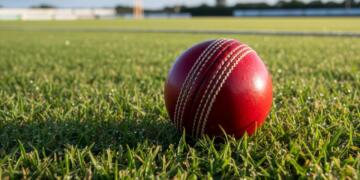 Why Sports Betting Exploded Among Cricket Fans in India